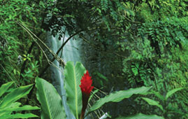 Waterfall